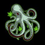 TERPENE TOM designs 03.jpg