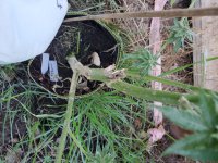 20221117_090845.jpg 20221117_090845.jpg