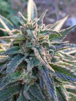 20221117_090744.jpg 20221117_090744.jpg