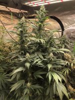 IMG_5612.JPG IMG_5612.JPG