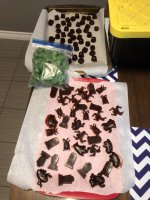 IMG_5752[1].JPG