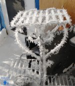 frost harvest.jpg