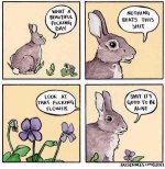 bunnyfuck.jpg