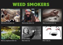 what-weed-smokers-do-weed-memes.jpeg