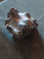 20230204_160006.jpg