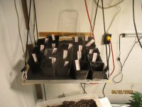 2 4 2023 023 heat mat station.JPG