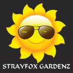 ic_large_w900h600q100_strayfox-gardens-logo.jpg
