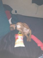 IMG_20230303_171018267.jpg