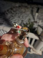 20230310_224532.jpg
