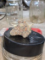 PXL_20230318_052729744.jpg