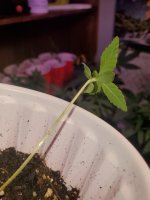 20230418_174206.jpg