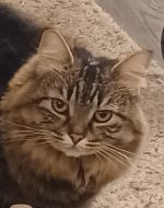 20230224_211219.jpg