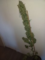 20230512_094906.jpg