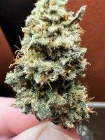 IMG_3515.jpeg