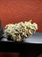 IMG_3522.jpeg