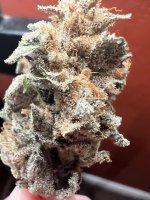 IMG_3562.jpeg