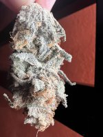 IMG_3552.jpeg
