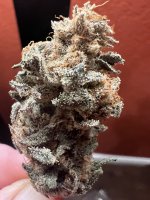 IMG_3548.jpeg