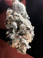 IMG_3566.jpeg