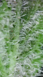 2023_05_15_16_15_19_535.png