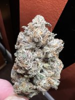 IMG_3621.jpeg