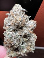 IMG_3611.jpeg