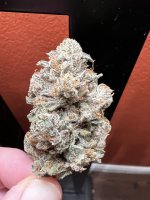 IMG_3614.jpeg