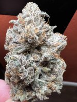 IMG_3610.jpeg