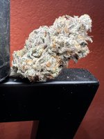 IMG_3594.jpeg