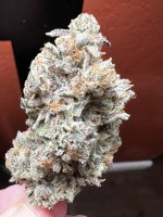 IMG_3589.jpeg