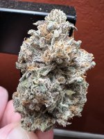 IMG_3622.jpeg