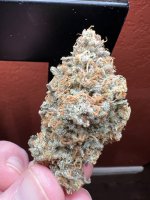 IMG_3623.jpeg