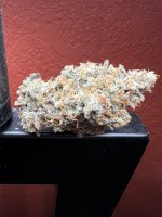 IMG_3630.jpeg