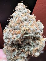 IMG_3641.jpeg