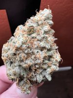 IMG_3649.jpeg