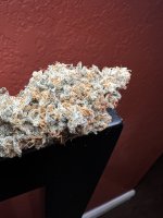 IMG_3637.jpeg
