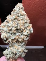 IMG_3650.jpeg