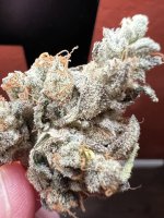 IMG_3665.jpeg
