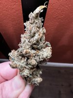 IMG_3663.jpeg