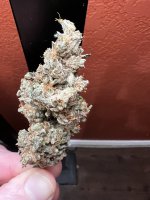 IMG_3651.jpeg