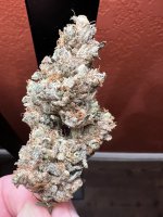 IMG_3659.jpeg