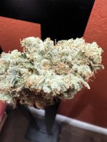 IMG_3697.jpeg