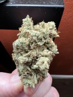 IMG_3690.jpeg