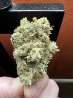 IMG_3689.jpeg