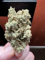 IMG_3691.jpeg