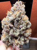 IMG_3722.jpeg