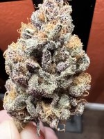 IMG_3721.jpeg