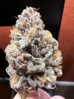 IMG_3717.jpeg