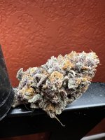 IMG_3704.jpeg
