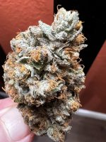 IMG_3738.jpeg